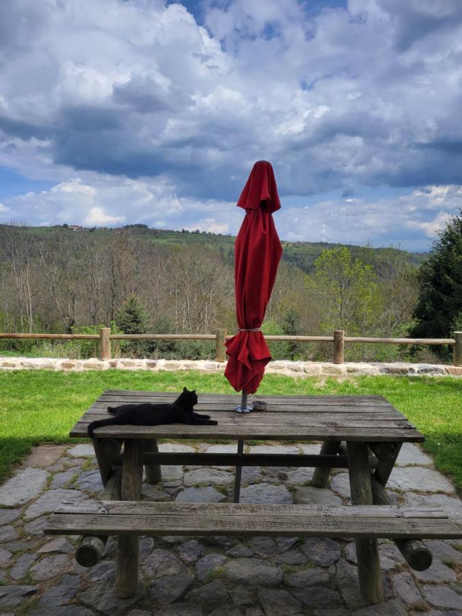 Se Reconnecter A La Nature Au Gite 3 Etoiles De Montager A Saint Andre De Chalencon Exteriér fotografie