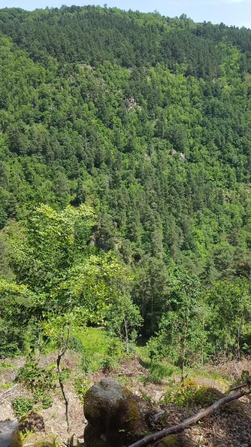 Se Reconnecter A La Nature Au Gite 3 Etoiles De Montager A Saint Andre De Chalencon Exteriér fotografie