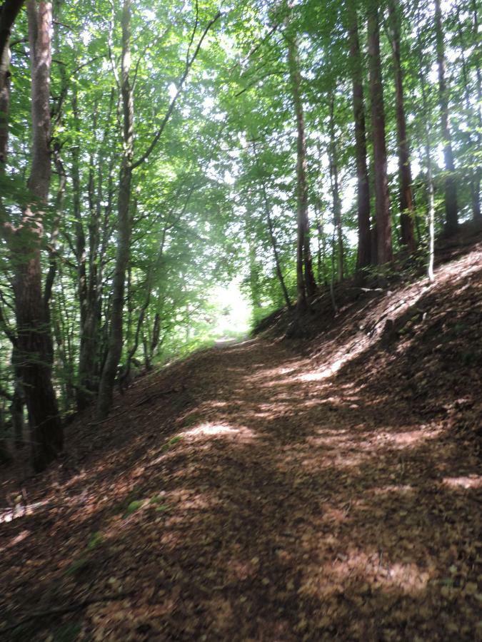 Se Reconnecter A La Nature Au Gite 3 Etoiles De Montager A Saint Andre De Chalencon Exteriér fotografie