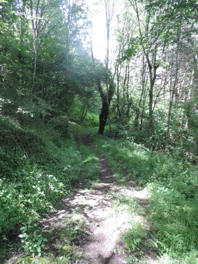 Se Reconnecter A La Nature Au Gite 3 Etoiles De Montager A Saint Andre De Chalencon Exteriér fotografie