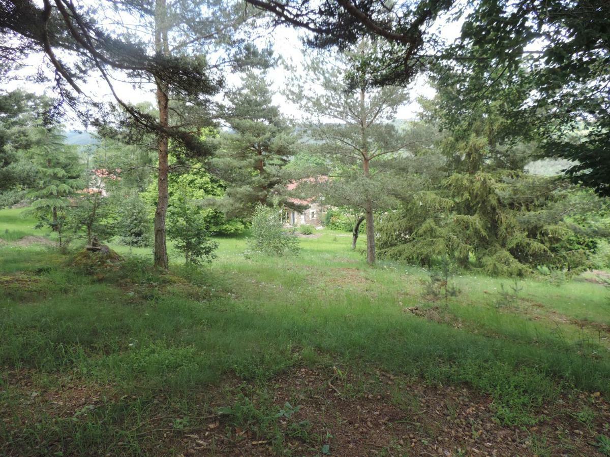 Se Reconnecter A La Nature Au Gite 3 Etoiles De Montager A Saint Andre De Chalencon Exteriér fotografie