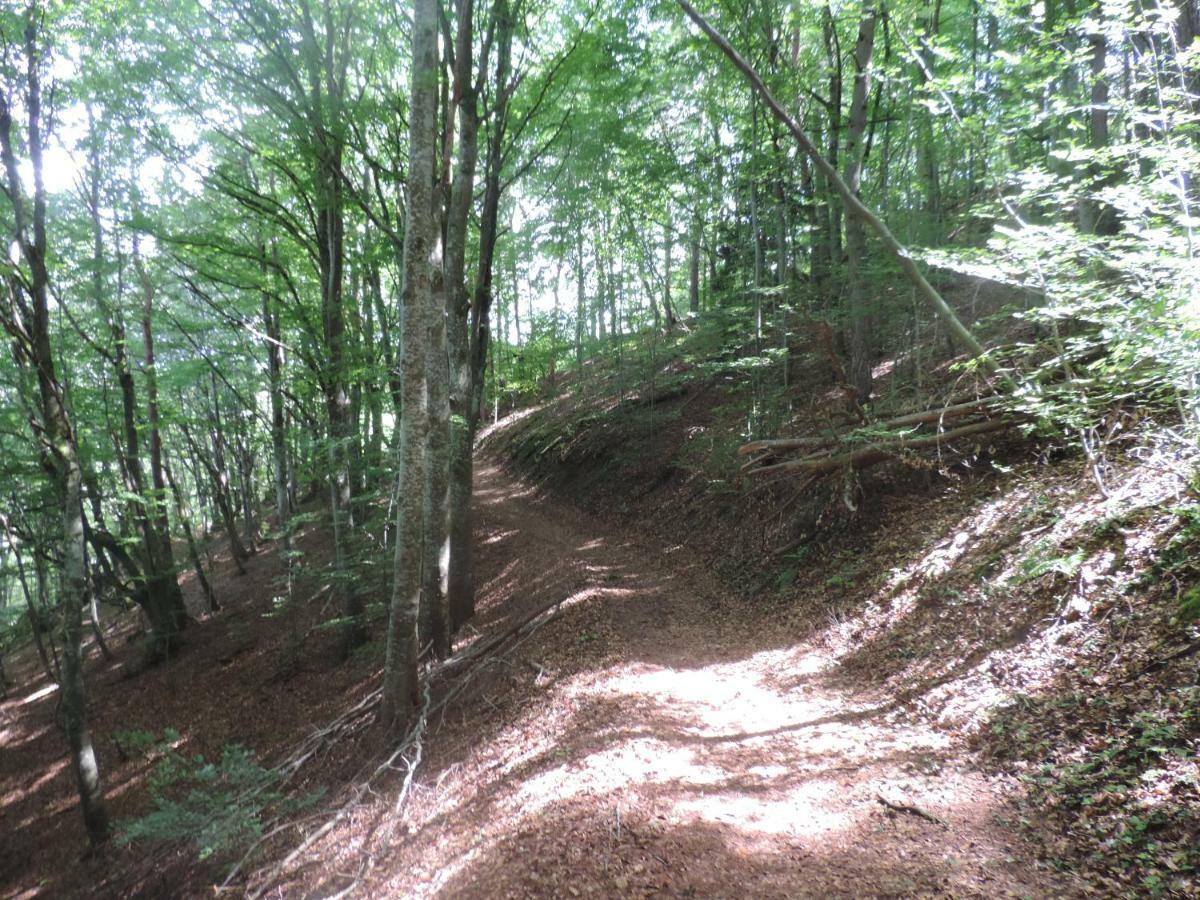 Se Reconnecter A La Nature Au Gite 3 Etoiles De Montager A Saint Andre De Chalencon Exteriér fotografie