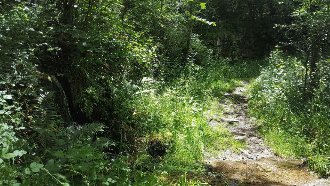 Se Reconnecter A La Nature Au Gite 3 Etoiles De Montager A Saint Andre De Chalencon Exteriér fotografie