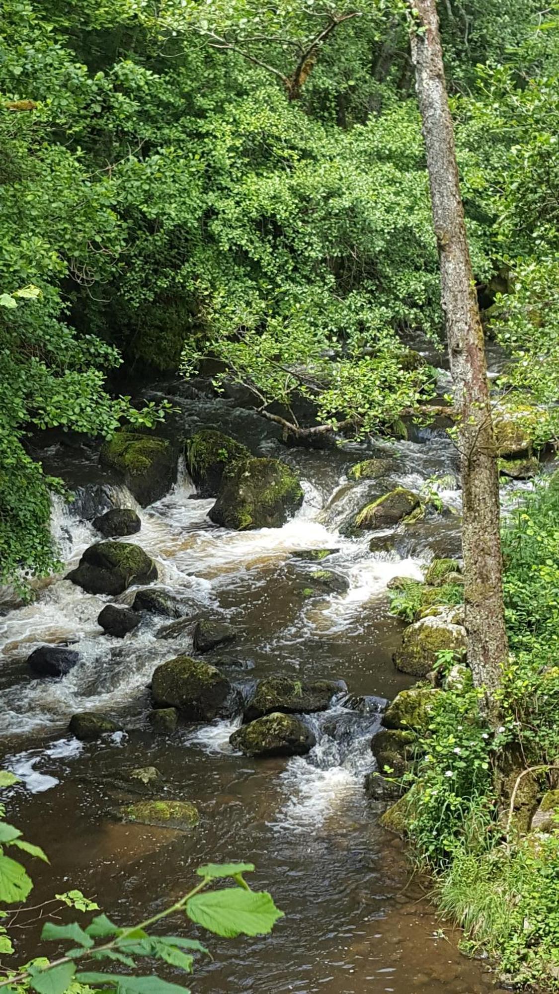 Se Reconnecter A La Nature Au Gite 3 Etoiles De Montager A Saint Andre De Chalencon Exteriér fotografie